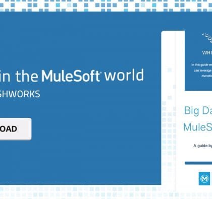 Big Data in the MuleSoft world guide