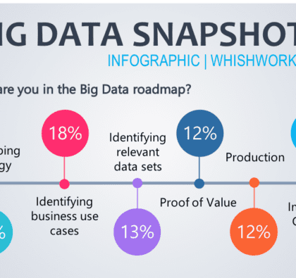 Infographic Big Data Snapshot