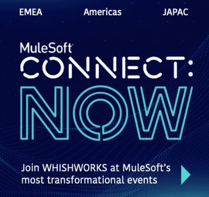 MuleSoft Connect Now