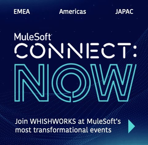 MuleSoft Connect Now